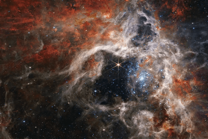 The JWST revealed details of the structure and composition of what is now affectionately called the “Tarantula Nebula,” as well as dozens of background galaxies. Photo courtesy of NASA, ESA, CSA and STScI